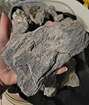 Review Image by H. H.