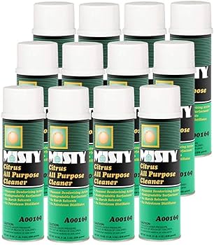 Amazon.com: MISTY Citrus All-Purpose Cleaner - 19 oz (Case of 12