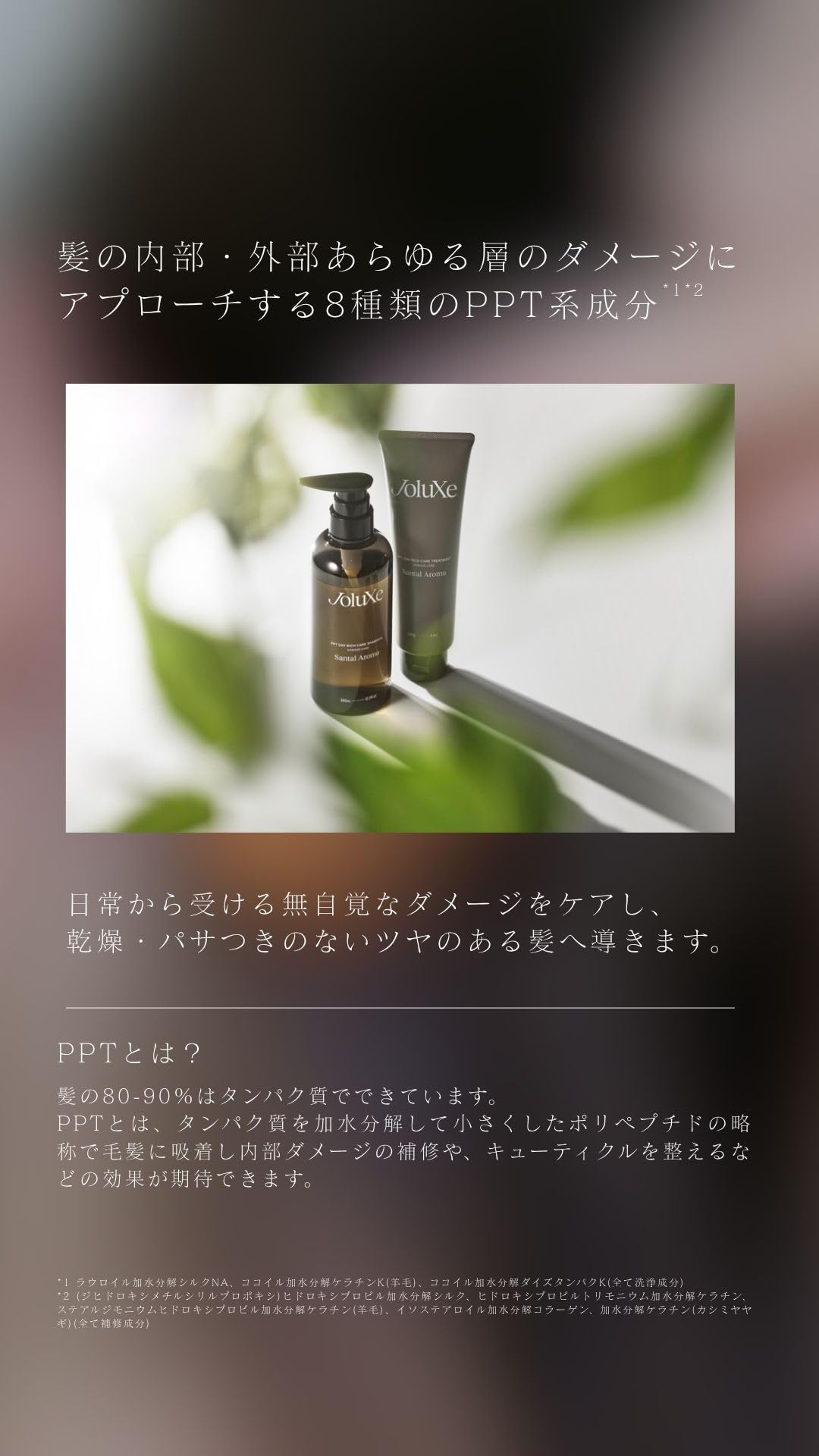 Amazon | 【水越みさとプロデュース】JoluXe（ジョルクス）PPTデイ