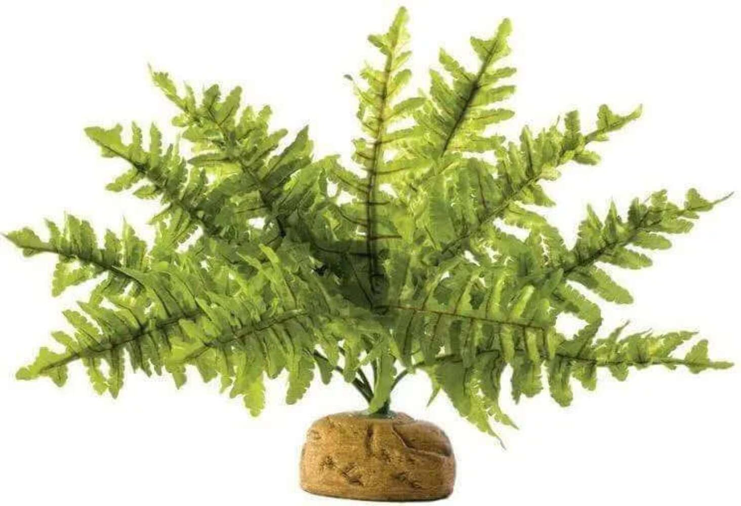 Hagen Exo Terra Rainforest Plant Boston Fern Small