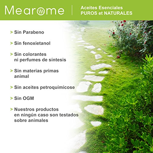 Aceite Esencial de Lavanda Puro 30 ml, 100% Natural y Bio | Antiséptico Favorece el Sueño Relajación Masajes Terapéuticos | Ideal para Humidificador Ultrasónico Aromaterapia | Fabricado en Francia - imagen 6