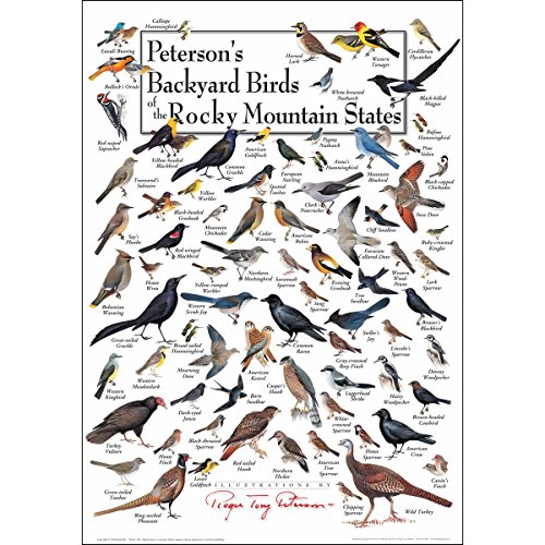 Earth Sky + Water - Peterson's Backyard Birds of the Rocky Mountain States - Poster