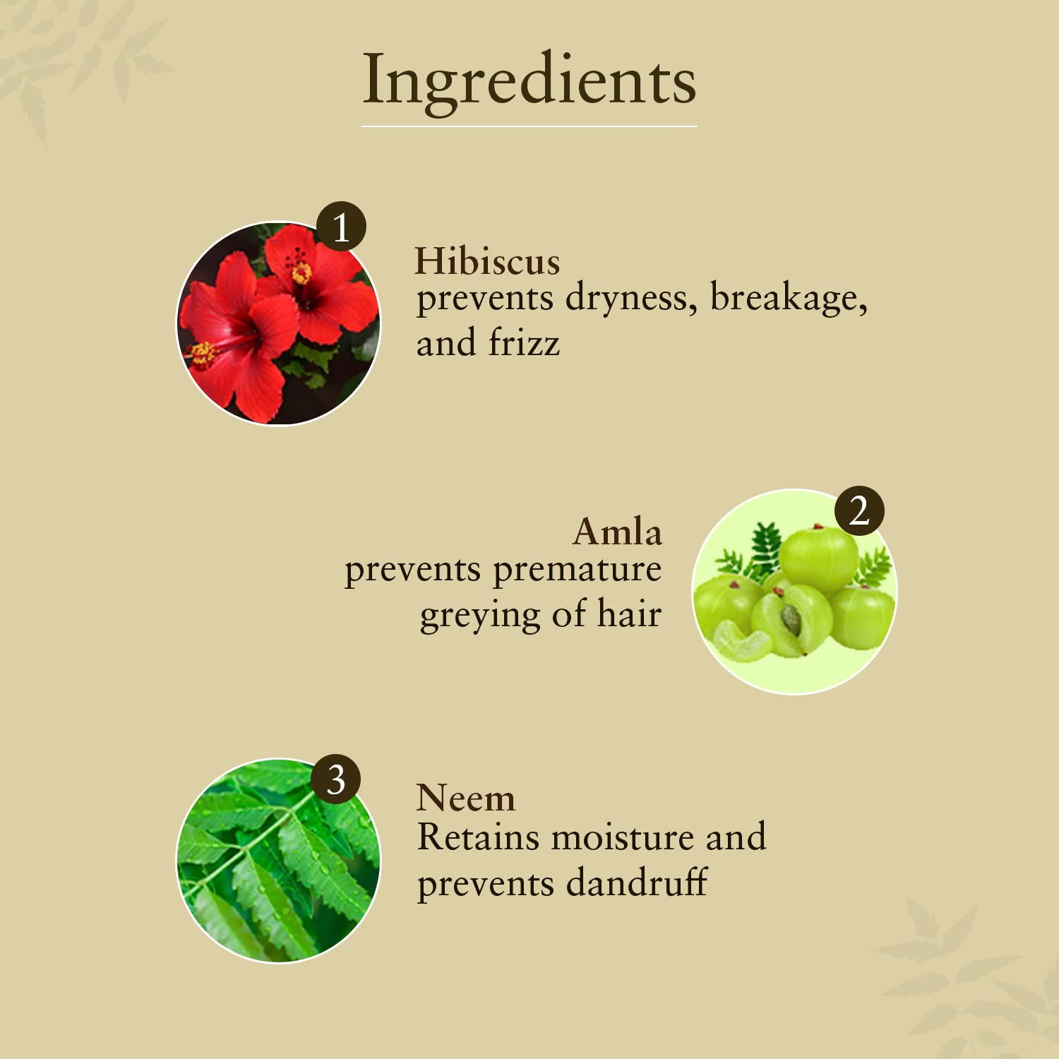 Just Herbs Ayurvedic AntiDandruff Soya Protein Shampoo For Men & Women