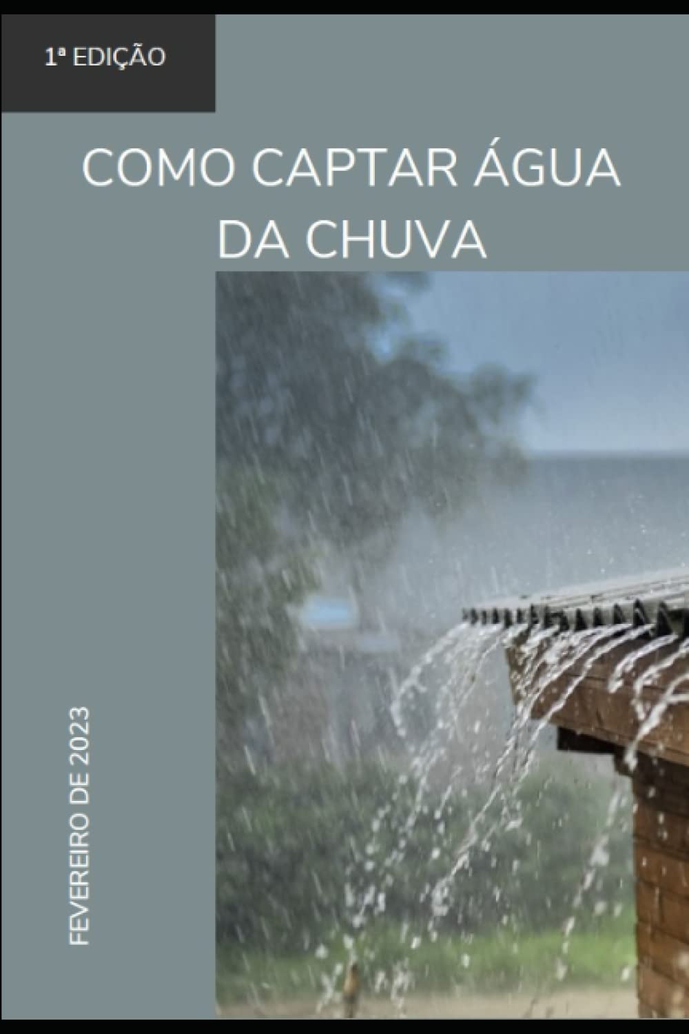 Rholmer Philipe Lobo Da SilvaComo captar água da chuva