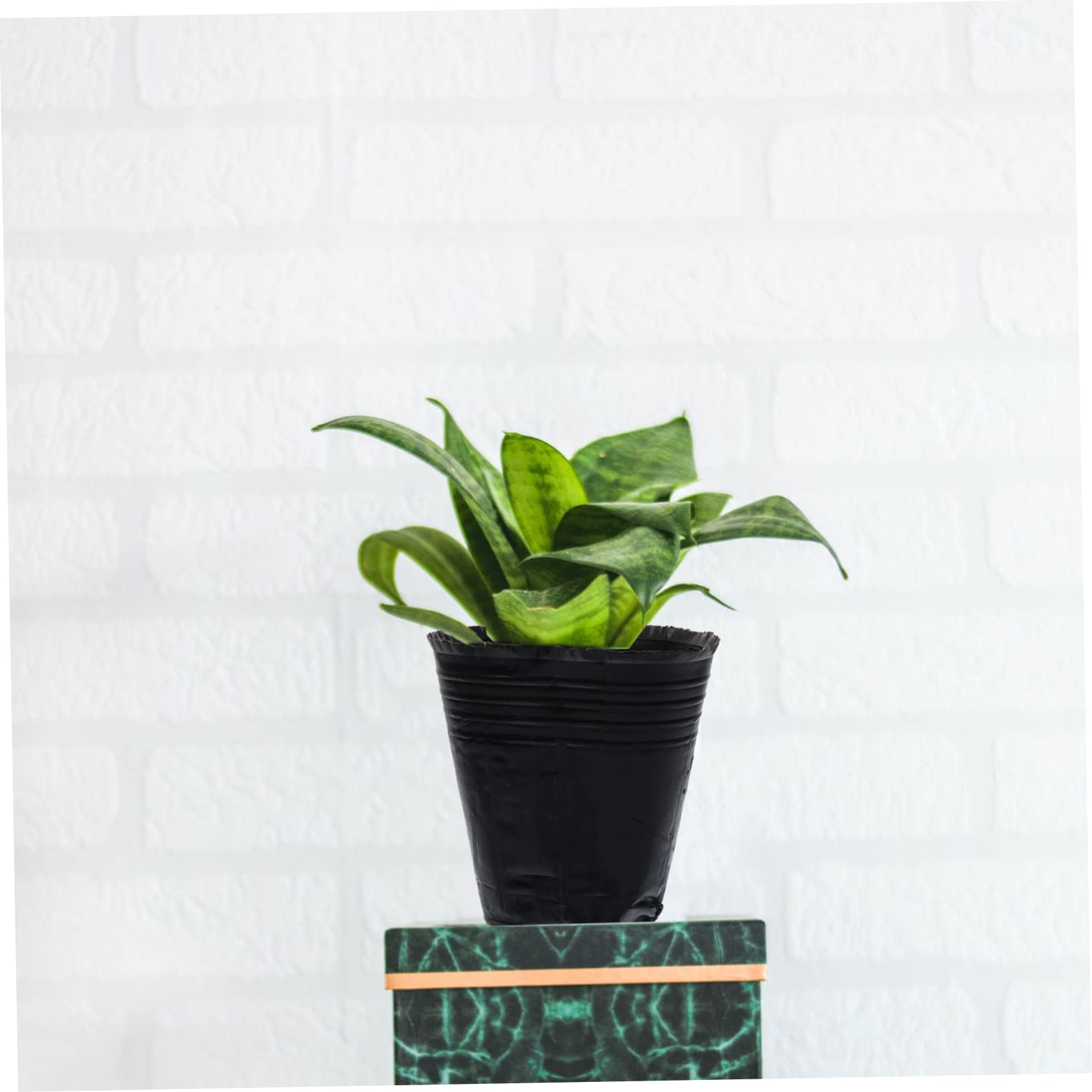 Hemobllo 500 pièces Pots de Nutrition pour Plantes Contenants de Repiquage avec Drainage Godets de Culture Jardinage Lot