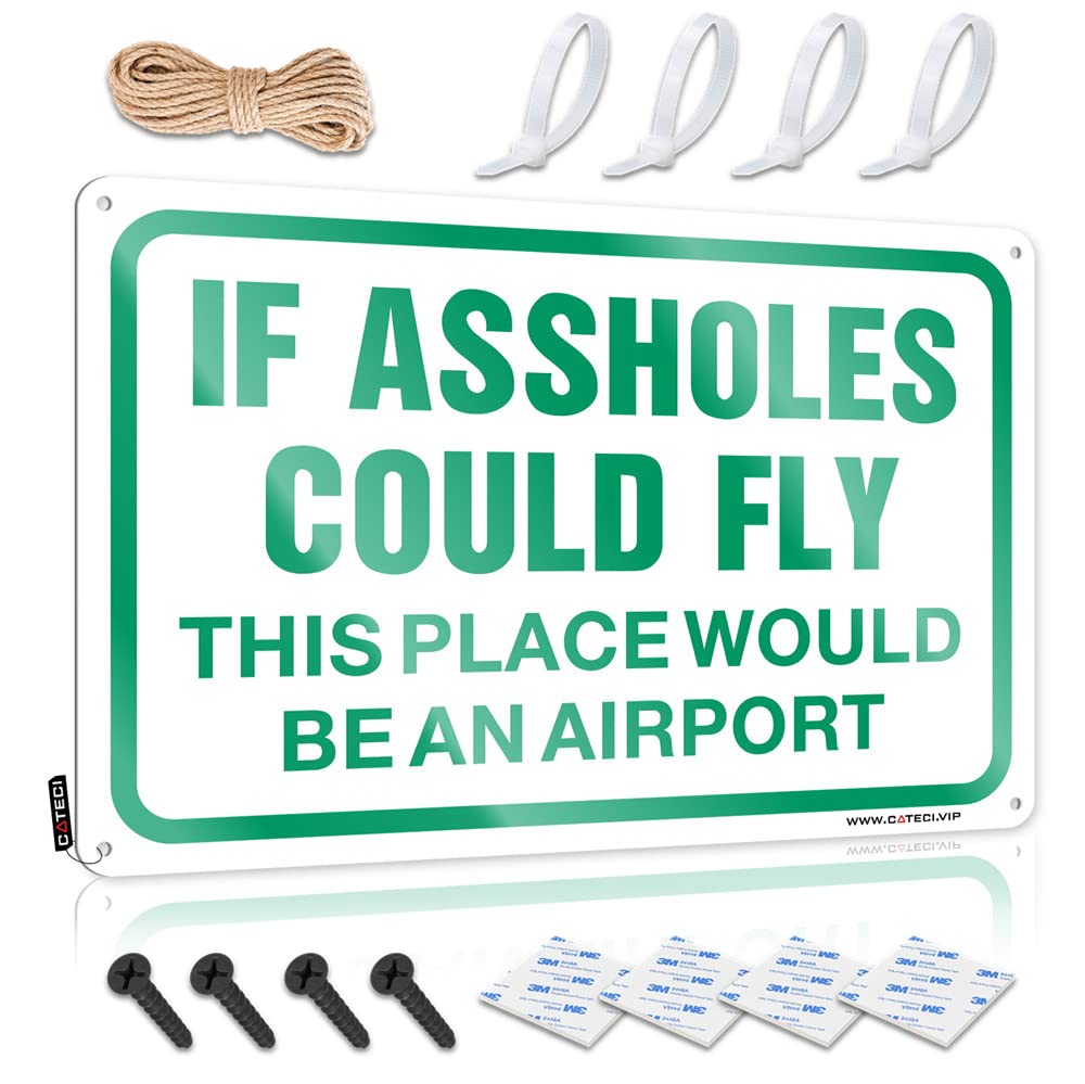 If Assholes Could Fly This Place Would Be An Airport Presents Inappropriate - Artwork Retro Wall Art Wall Art Decoration(30X40CM)