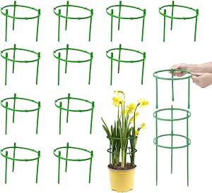 Supporto per piante in metallo 1 pezzo, supporto per piante rampicanti da 160 cm, adatto per pomodori, rose, fiori | Leroy Merlin
