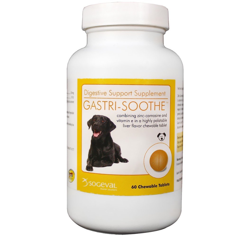 Gastri-Soothe (60 chewable tabs)