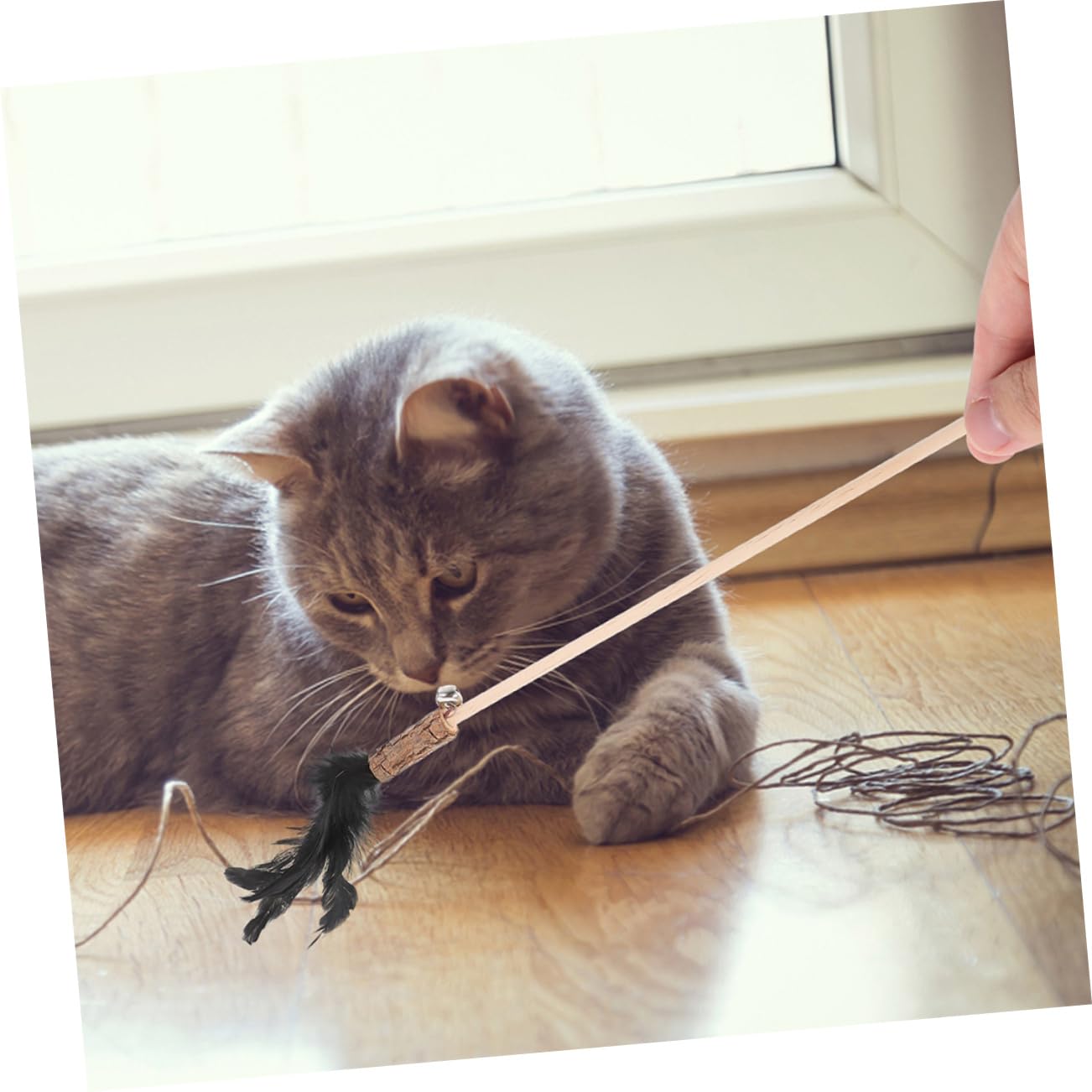 Supvox 15stücke Teiliges Interaktives Katzenspielzeug Plume Und Katzenminze Lustige Teaser Für Katzen Und Kätzchen Zur Selbstbeschäftigung Körperlichen Aktivität
