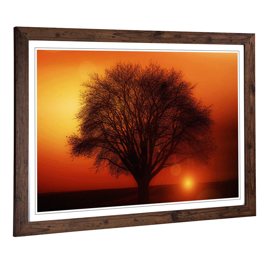 Big Box Art Framed Print of Landscape Lone Tree Sunset (2) Design | Wall Art Picture | Home Decor for Kitchen, Living, Dining Room, Bedroom, Hallway, Office, Walnut, A2 / 24.5x18 Inch / 62x45cm
