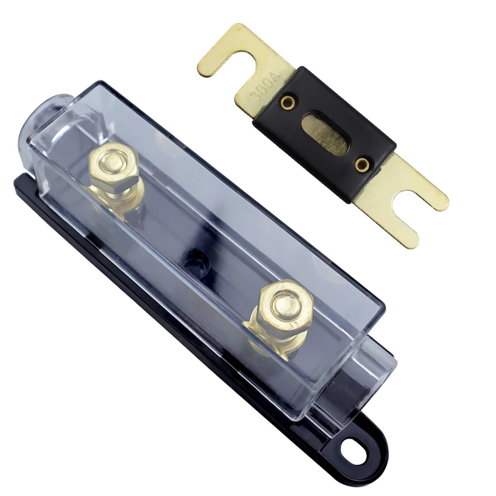 Porte-fusible à boulonner, porte-fusible automobile, lien Fusible avec Fusible 40A 60A 80A 100A 200A 250A 300A, fusibles AMP 1 pièces (Color : 100A)