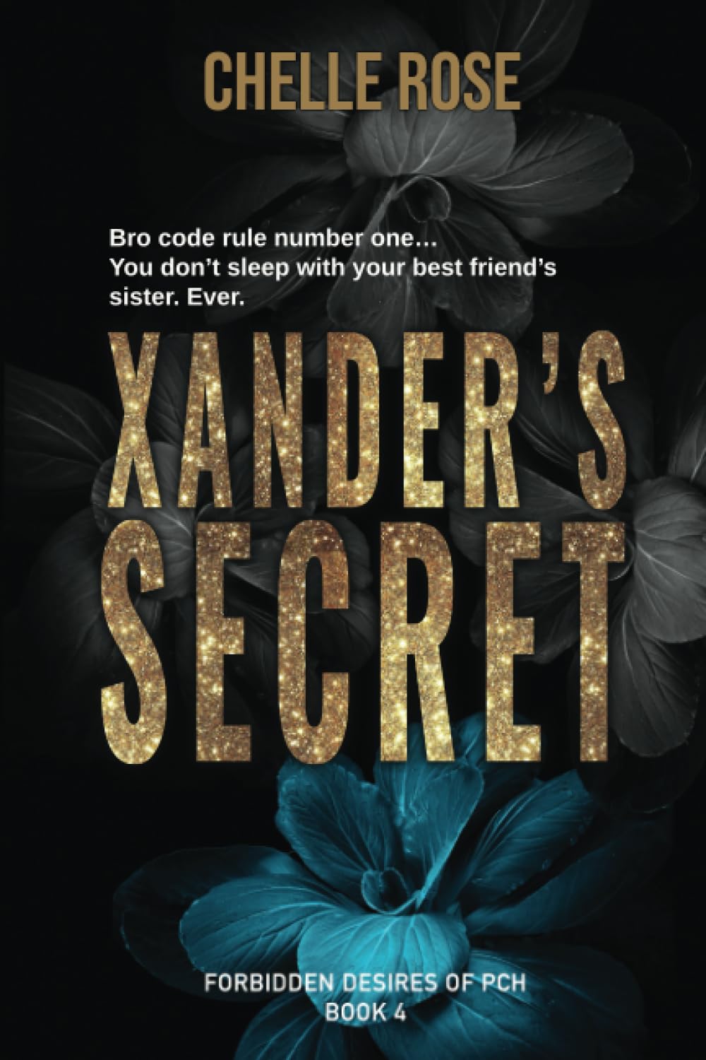 Xander's Secret: A Best Friend's Little Sister/Age Gap/ Steamy Romance (Forbidden Desires)