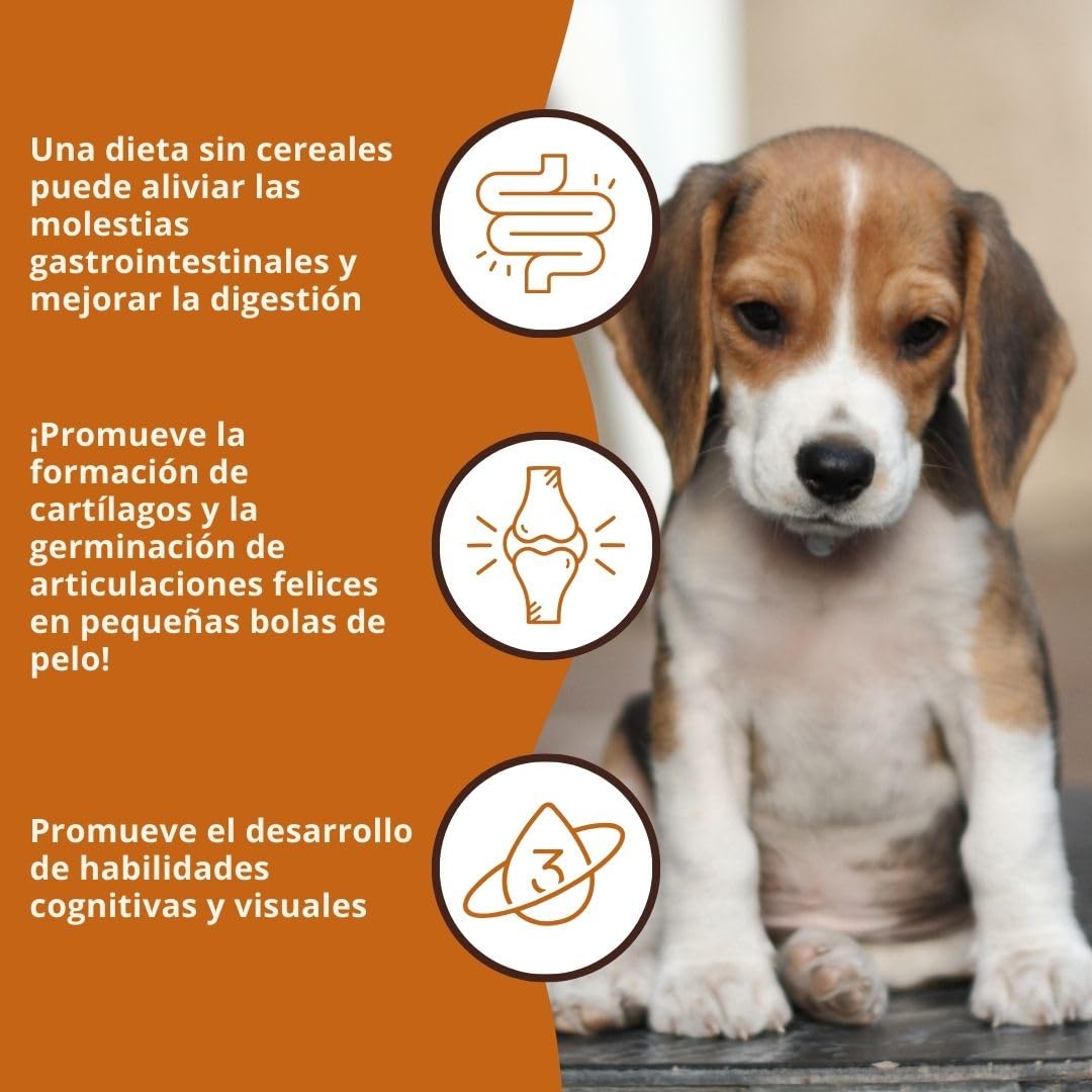 Wildfang® Alimento Seco para Perros 6kg – Pienso Premium con Pollo y Pavo, Sin Cereales ni Gluten, con Ingredientes Naturales, Sin Azúcar Añadido Comida para Cachorros y Perros Pequeños – Paquete de 1