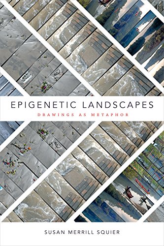 Epigenetic Landscapes view 2