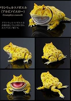 いきもの大図鑑アドバンス ツノガエル 全４種類 おまけ付き リアルフィギュア Amazon | いきもの大図鑑 ツノガエル 全4種類 オマケ付き