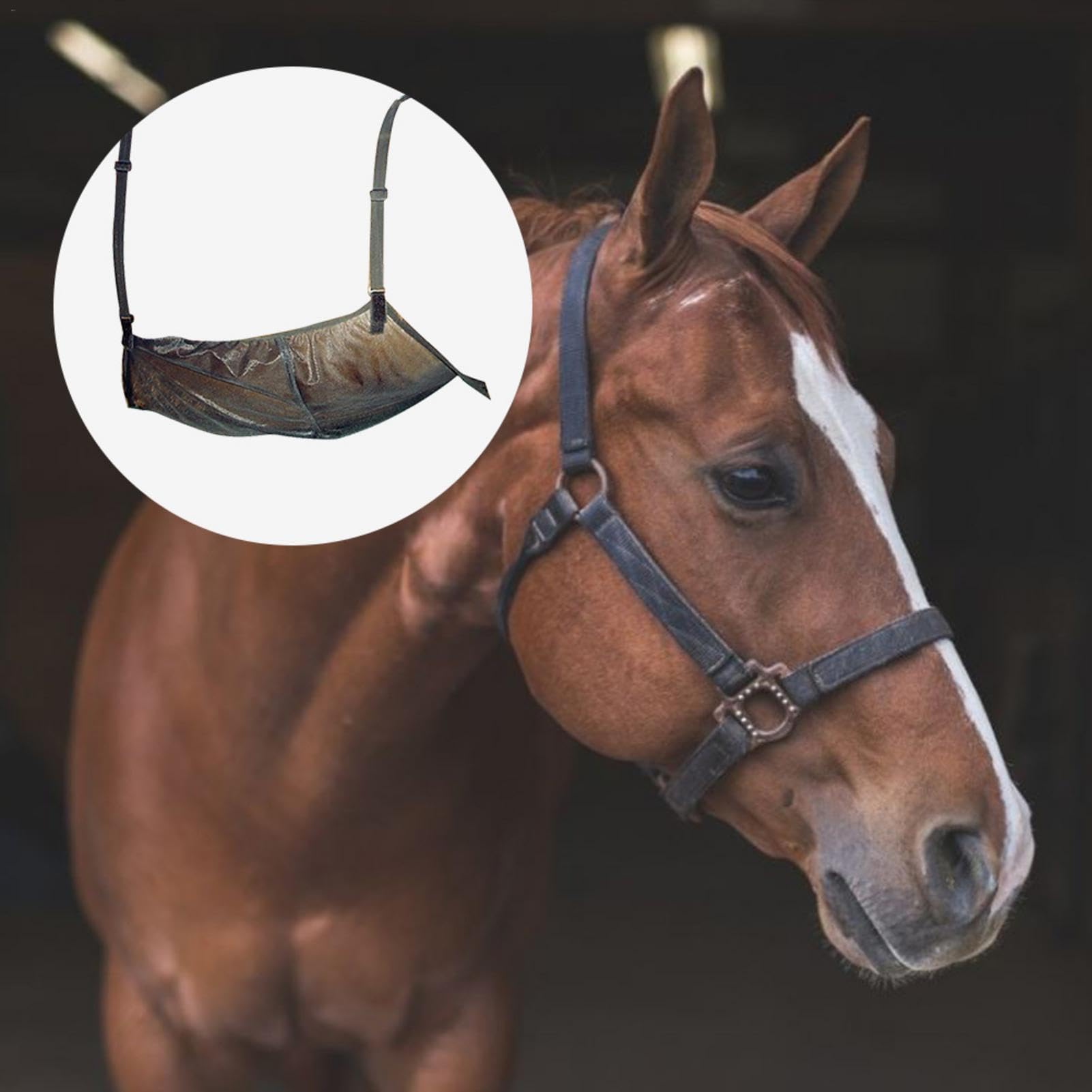 Protection ventilée pour cheval, filet abdominal respirant, 94 x 71 cm, large