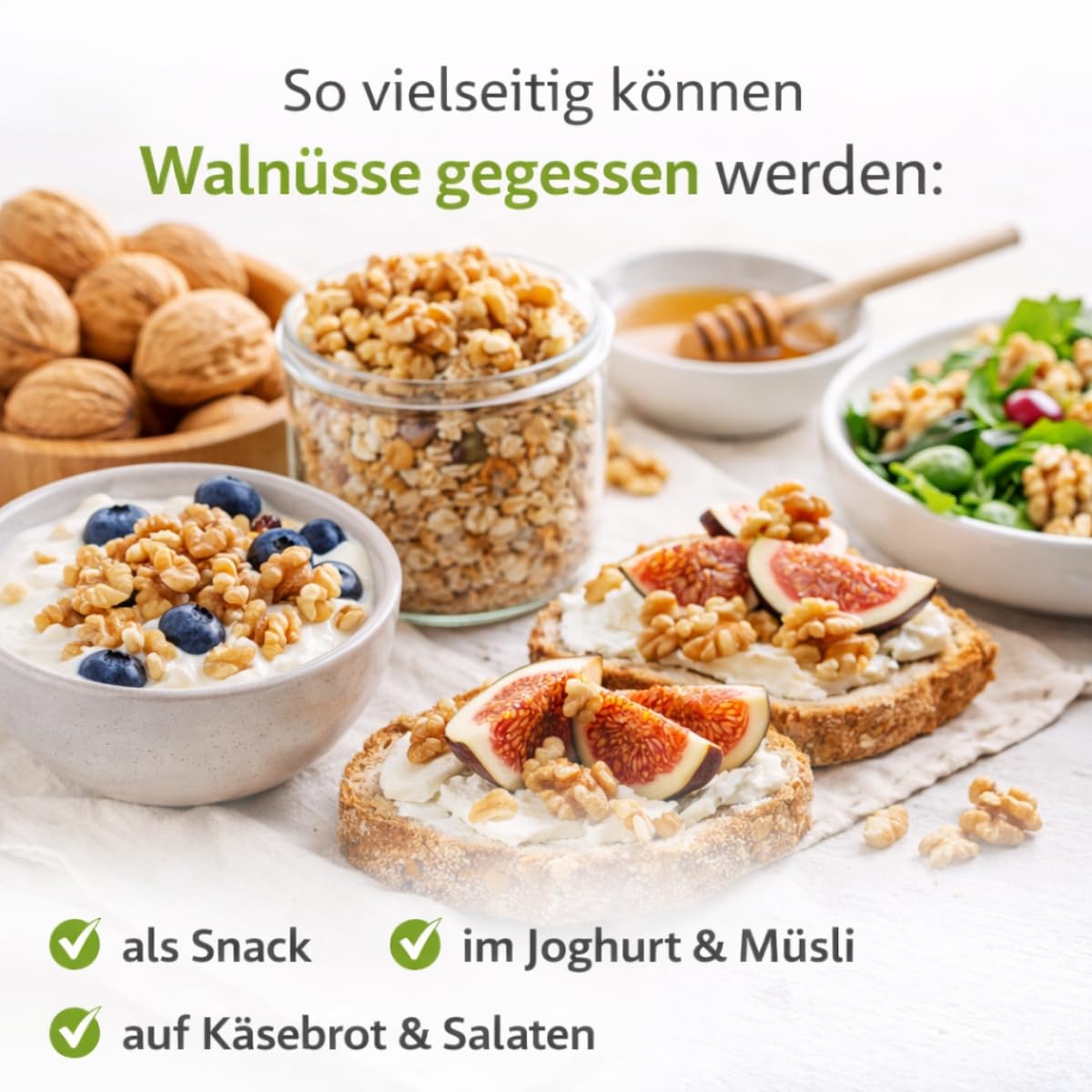Französische Walnüsse (Grenobler), 2,5kg, Dicke Sortierung 32/+, unbehandelt, intensiv aromatisch, helle Innenfrucht, frische Ware aus neuester Ernte