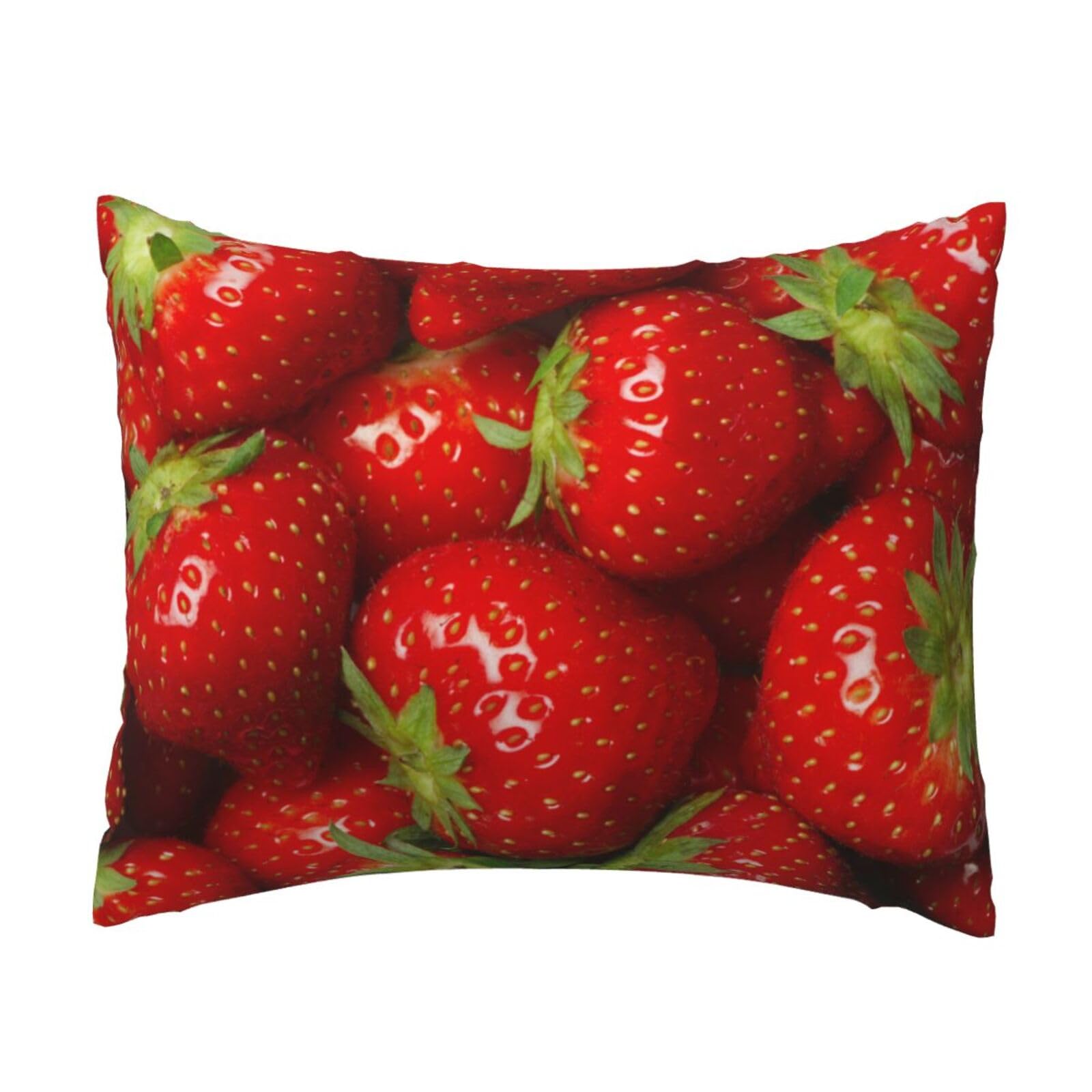 YFSGDLBN Red Strawberry Fruit printed Pillow Case 20x26in decorative Cushion Cover pillowcase