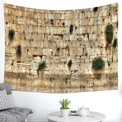 F-FUN SOUL Western Wall Jerusalem City Tapestry, 80x60inchs Soft Flannel, Israel Cityscape Wall Hanging Tapestries for Room Decor DSFS670