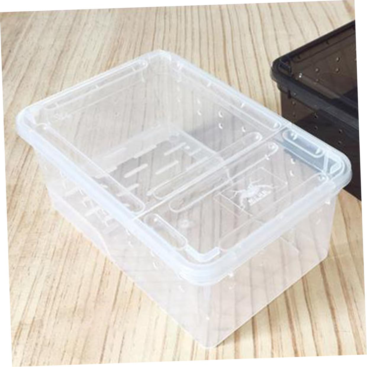 Lurrose Acquario con Piattaforma Galleggiante in Plastica Area Riposo e Alimentazione Facile Osservazione per Tartarughe Inclinazione Adatta per Rettili e Anfibi