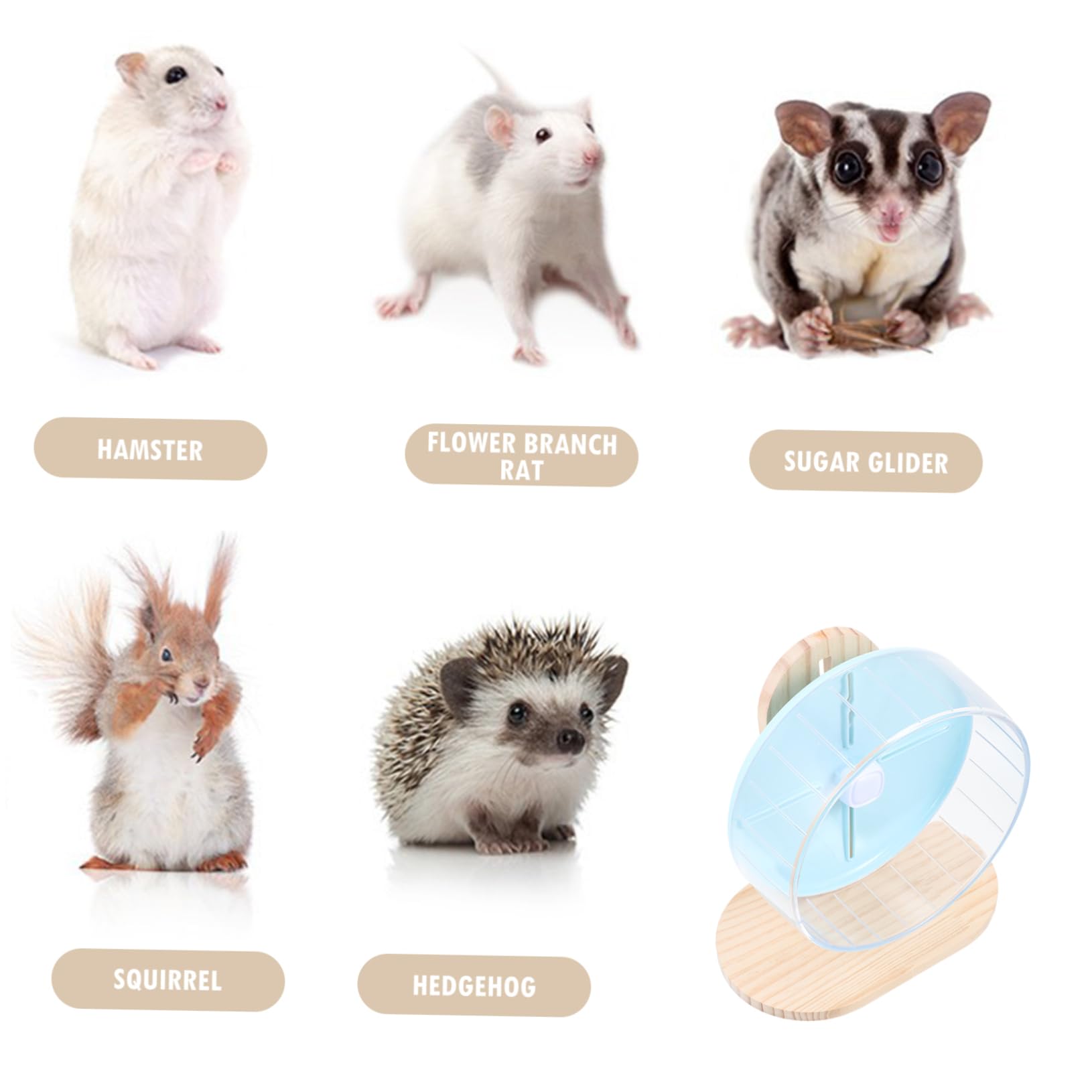 Angoily Großes Leises Hamsterrad Laufrad für Haustiere Chinchillakäfig-zubehör