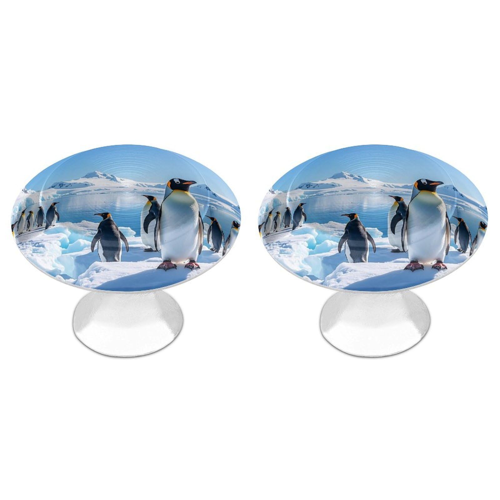 FekiLoot Round Cabinet Knob 2 Pack Kitchen Drawer Knobs Stainless Steel Round Drawer Pulls Modern Cabinet Hardware Penguin Antarctica Ice Drawer Hardware for Dresser Closet Door Knobs