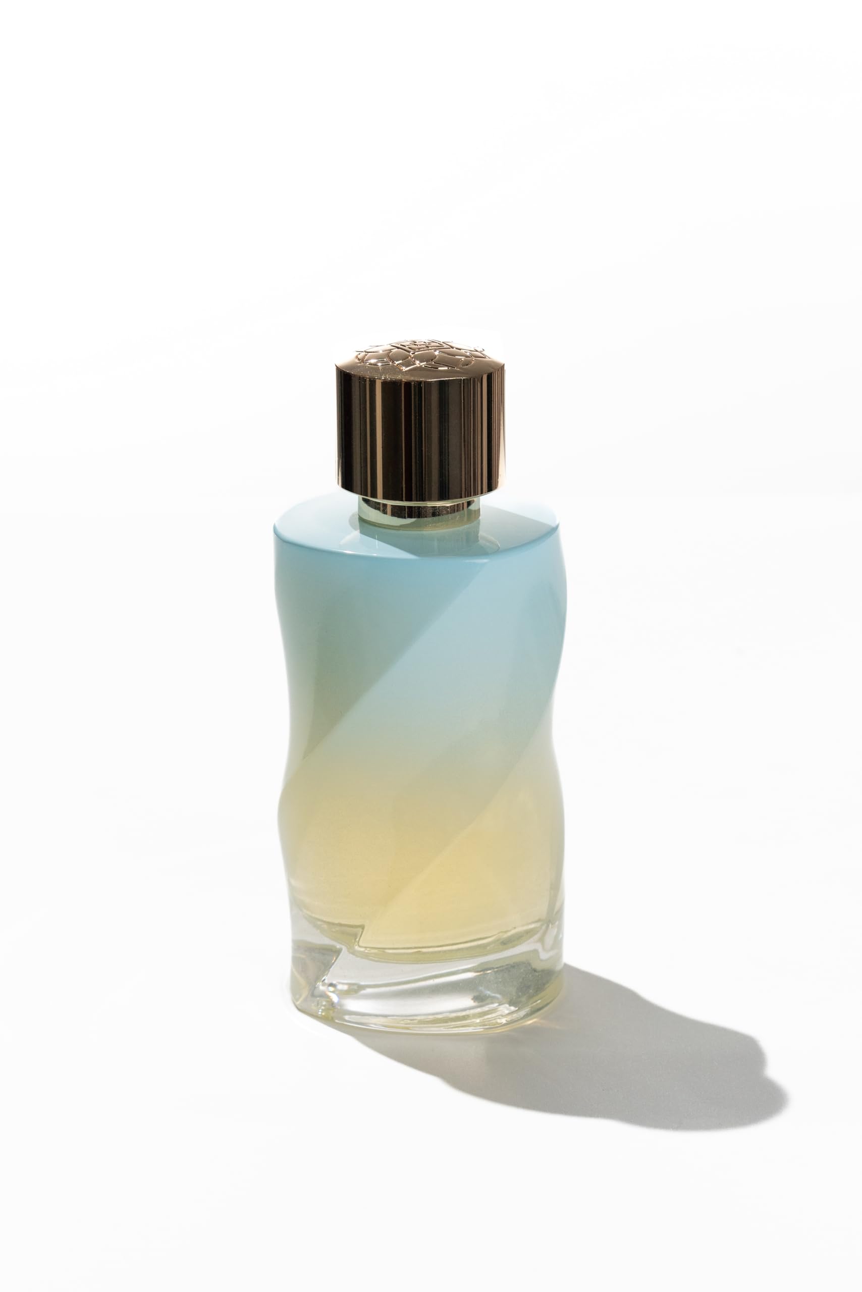 ANIMA - 100ML Extrait de Parfum