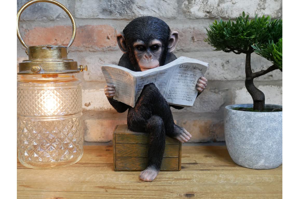 Maisonica Monkey Reading News Journal Quirky Ornament Statue Figurine Sculpture Gift