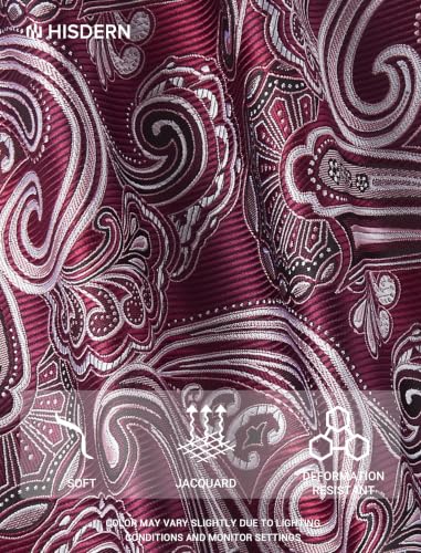 Image of HISDERN Extra Long Ties for Men Classic Floral Tie and Pocket Square Elegant Silk Necktie Handkerchief Set Wedding Party