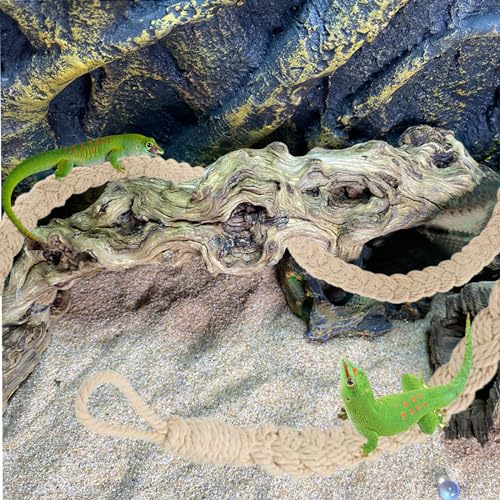 Image of Hermit Crab Climbing Toys, Hermit Crab Supplies Tank Terrarium Accessories, Habitat Decor for Tree Frogs,Crested Gecko Lizards Geckos Snakes