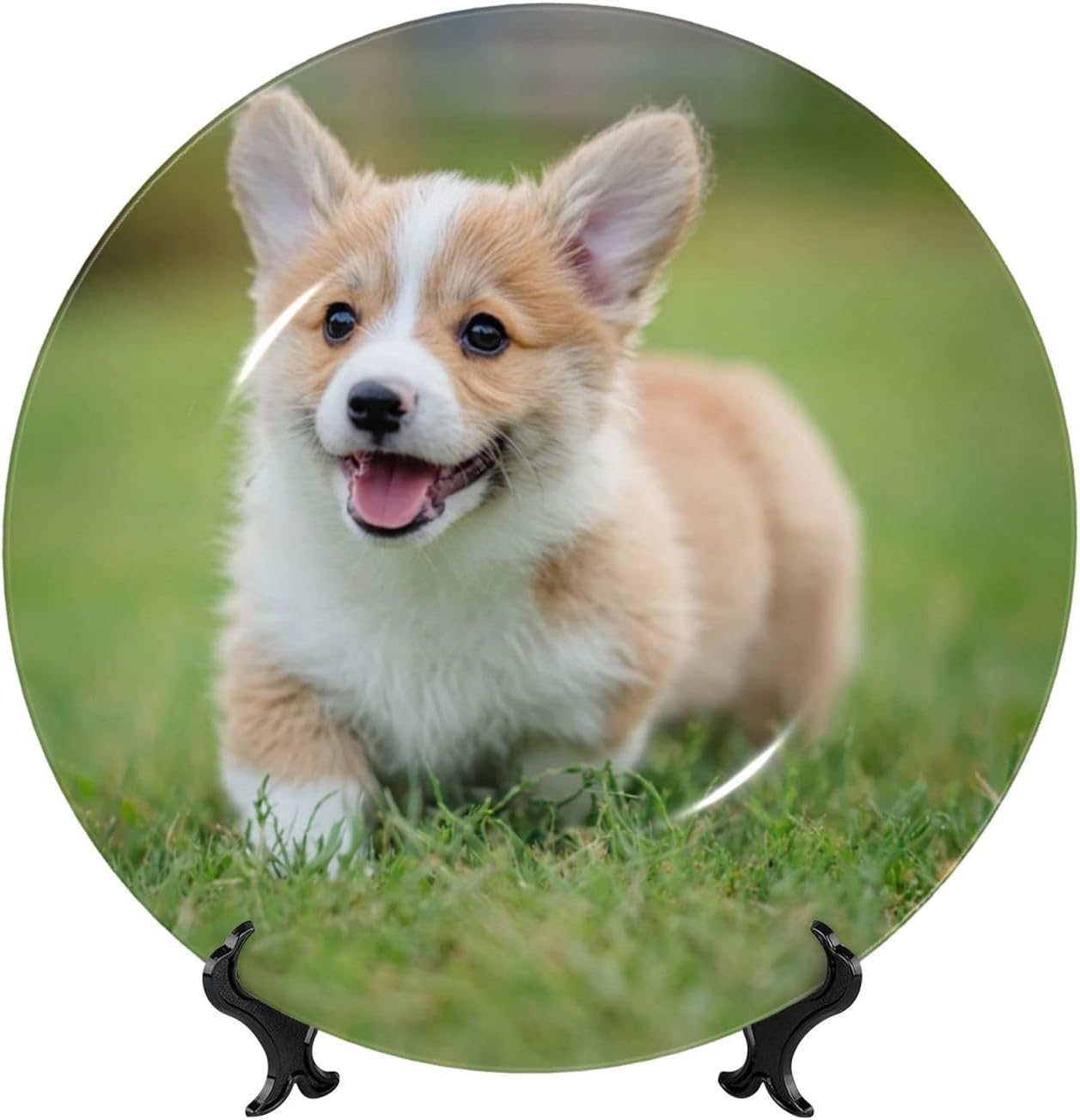 Bone China Decorative Plate with Display Corgi Puppy Ceramic Plates Crafts Art Decor Dessert Plate Ceramic Ornament Porcelain Plates for Living Room Kitchen Table Home Decor