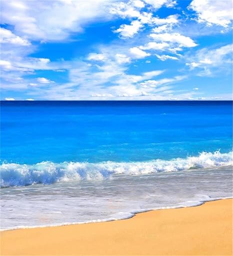 Amazon Generic 3dブルー海夏ハワイアン風景背景ホワイトクラウドファブリックの背景幕の写真ウェディング写真 バックペーパー 背景布 通販