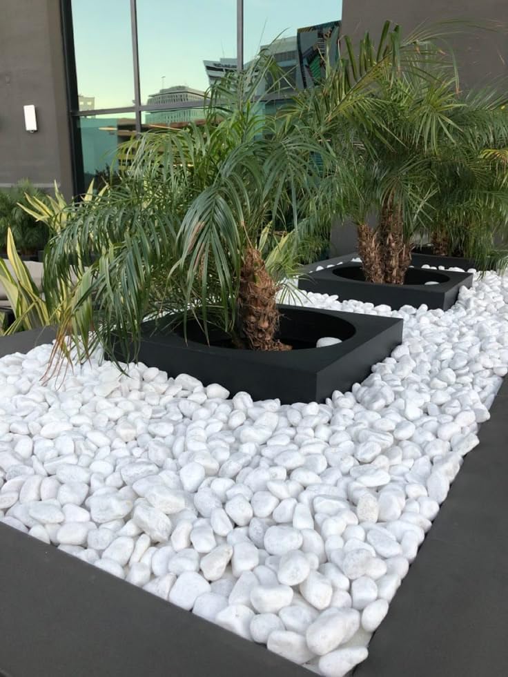 Lista de Piedras decorativas para jardin que puedes comprar esta semana. 14 Imagen adicional