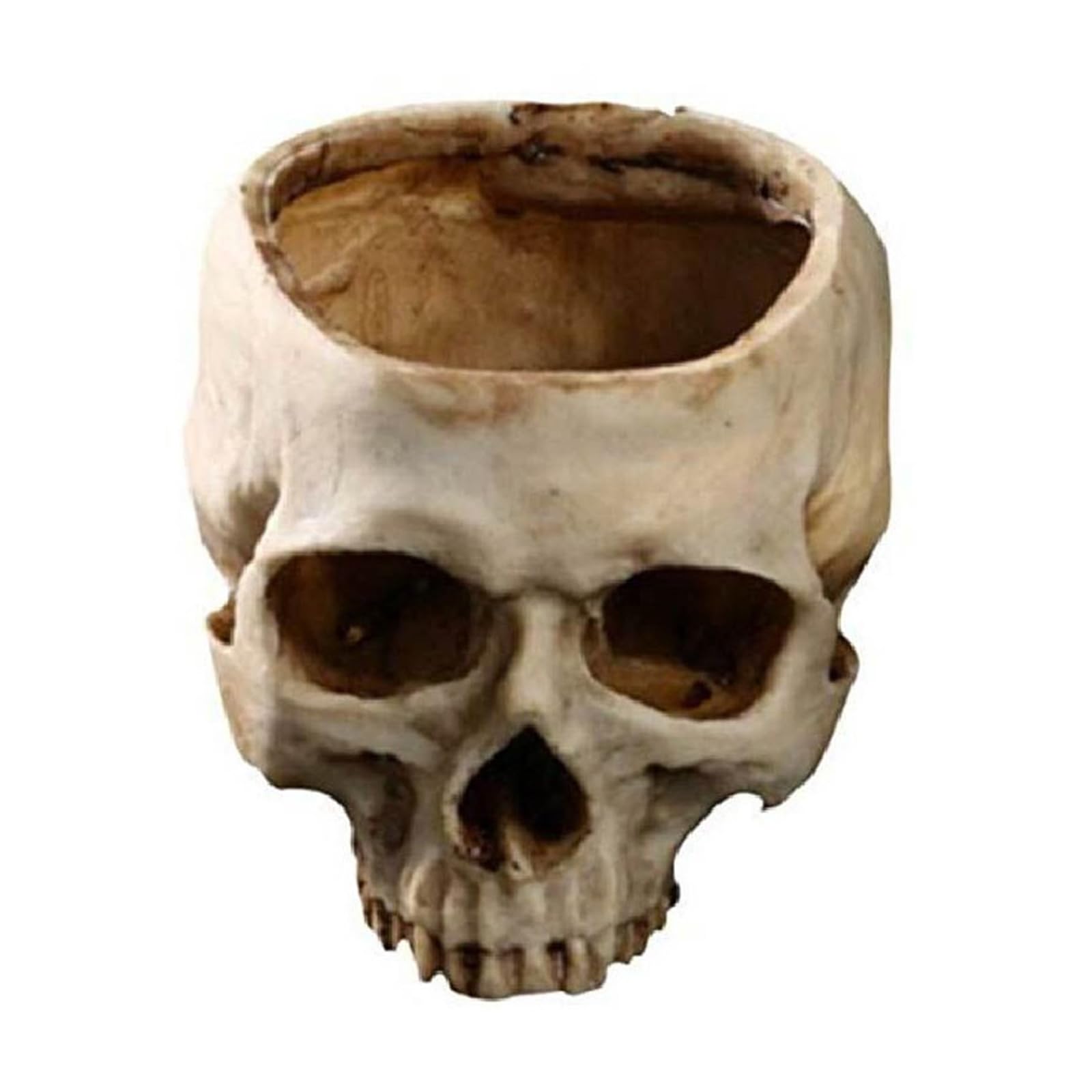 TAZIZI Creative Bronze Finish Skull Planter for Tiny Objects, White
