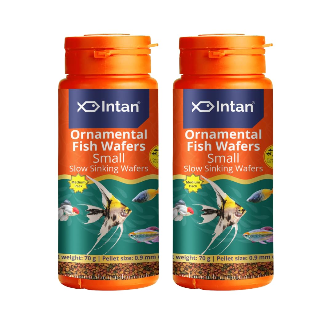 Intan Aquatic Ornamental Fish Wafers Fish Food|Slowly Sinking Wafers For Aquarium Fish|Small Wafers For Health & Growth|Medium Pack 70 Gm Each, Pellet Size 0.9 Mm Dia, Pack Of 2 (B0CTXBPNZJ) Amazon Price History, Amazon Price Tracker