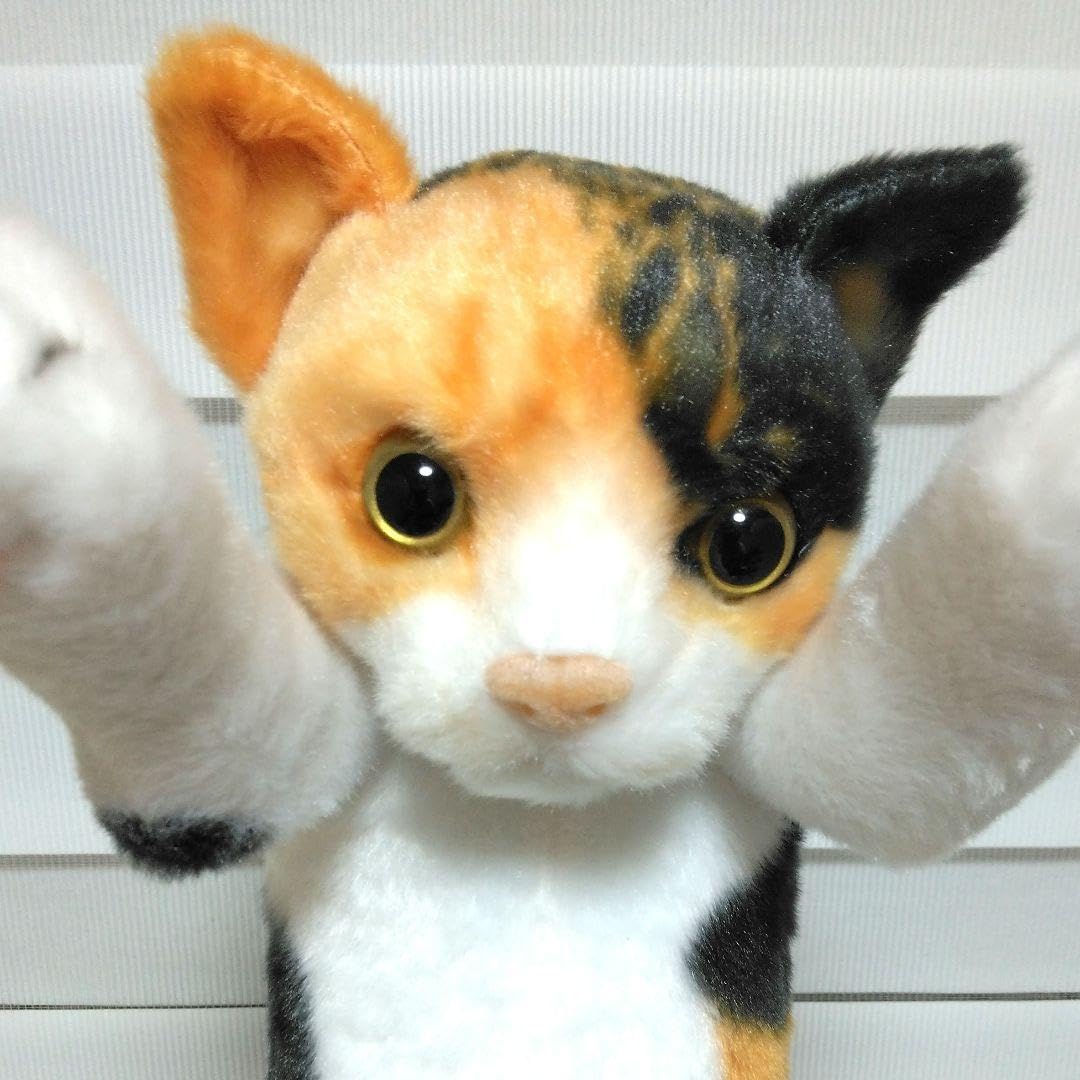 Amazon.co.jp: たっちぃzooにゃんこ たっちいzoo 三毛猫 猫