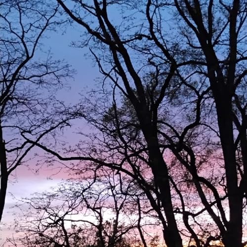 Abide in Him and He will Abide in You