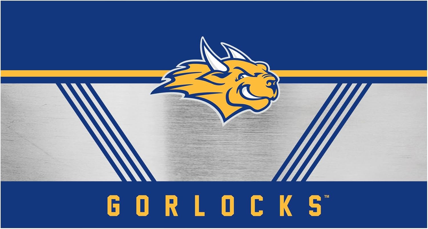 Rico Industries NCAA Webster Gorloks Standard 20oz Stainless Steel Tumbler with Lid - Great For Coffee, Tea, Water or Cocktails - Image 6