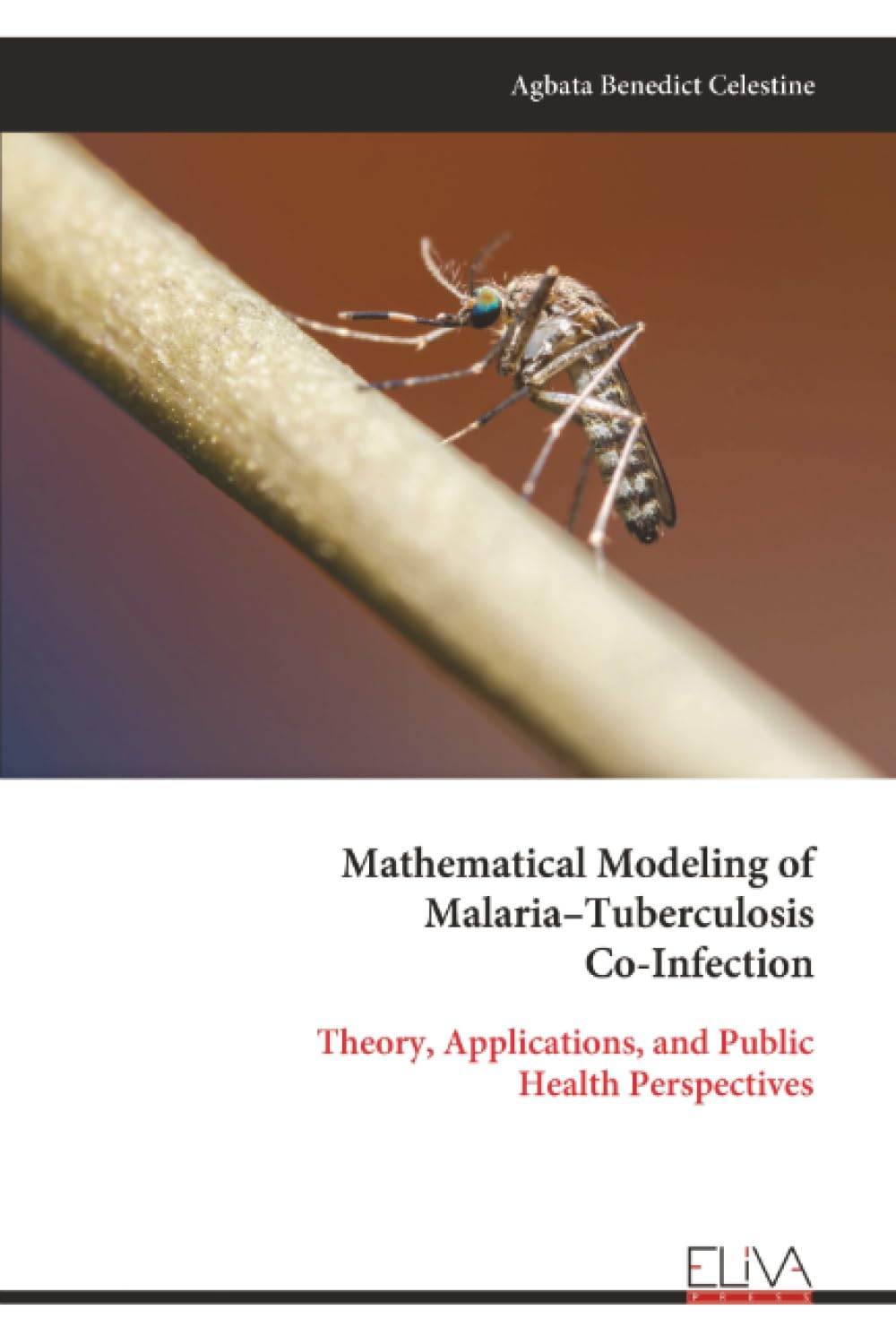 Mathematical Modeling of Malaria–Tuberculosis Co-Infection: Theory, Applications, and Public Health Perspectives