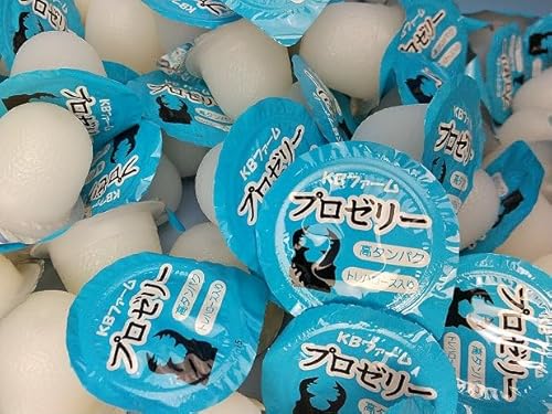 KBt@[ v[[ 16g×55 [[ ^pN h{ vu[_[p EɐBp JugVENK^