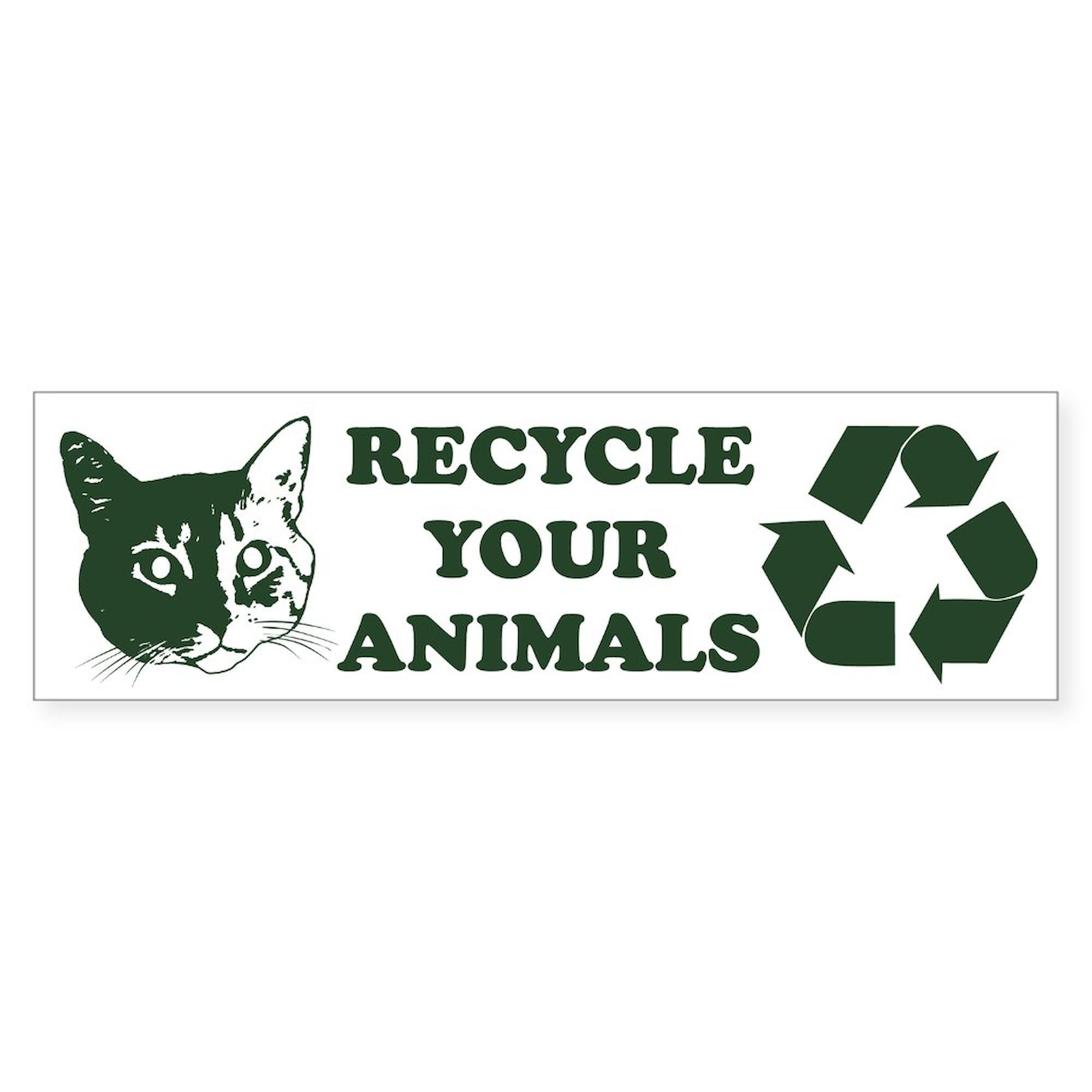 CafePress Recycle Your Animals 10"x3" Rectangle Vinyl Bumper Sticker Car Decal