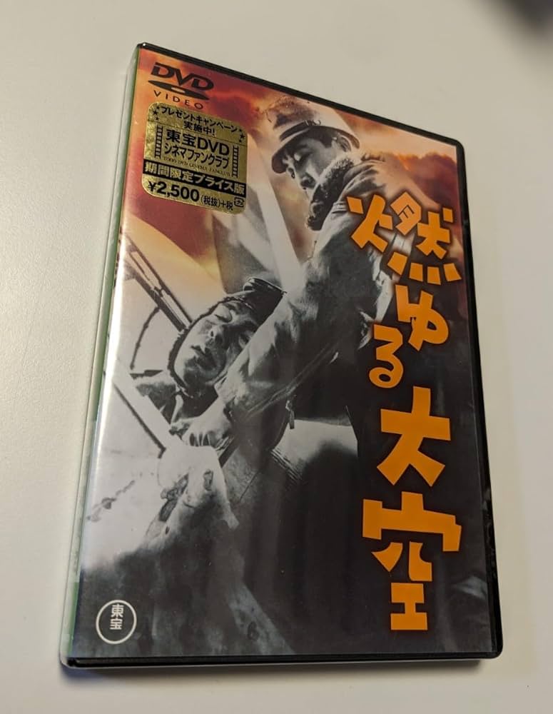 燃ゆる大空 [東宝DVDシネマファンクラブ] 51B2THH22XL._AC_SY200_QL15_.jpg