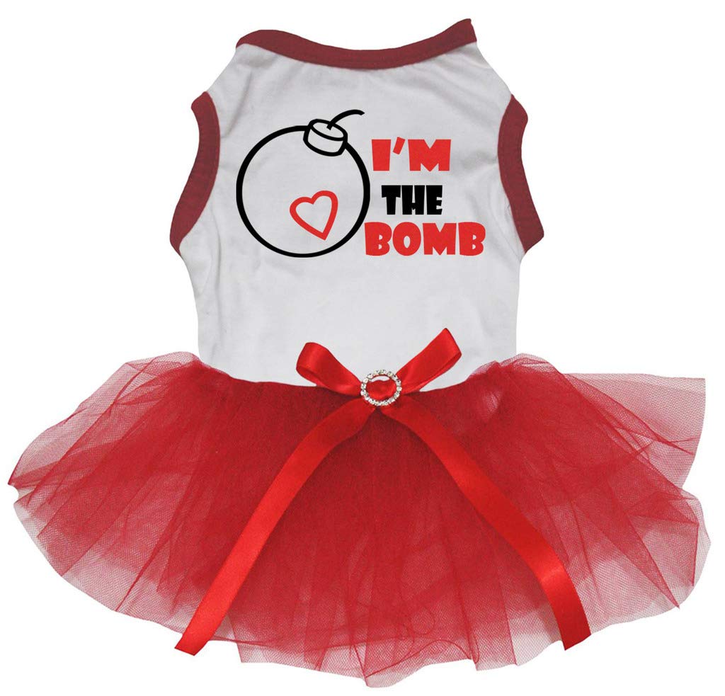 Robe tutu pour chiot pour déclarer votre amour à votre animal