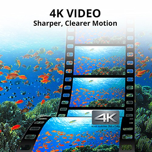 Panasonic Dc-Ts7D Lumix Ts7 Waterproof Tough Camera, 20.4 Megapixels, 4.6X Zoom Lens, Usa, With 3" Lcd, Orange #TOP3