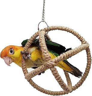 corda pássaro - Brinquedos balanço pássaro com sino,Brinquedos mastigar gaiola pássaro para papagaio cinza africano periquito periquito periquito Maxten