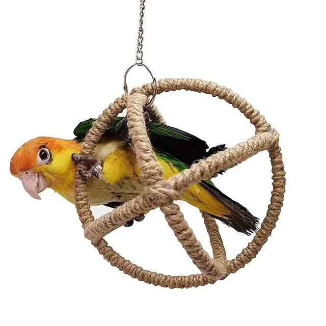 Foto 7 de 8 de dexun Juguetes para Loros,Percha oscilante para Loro con Cascabel