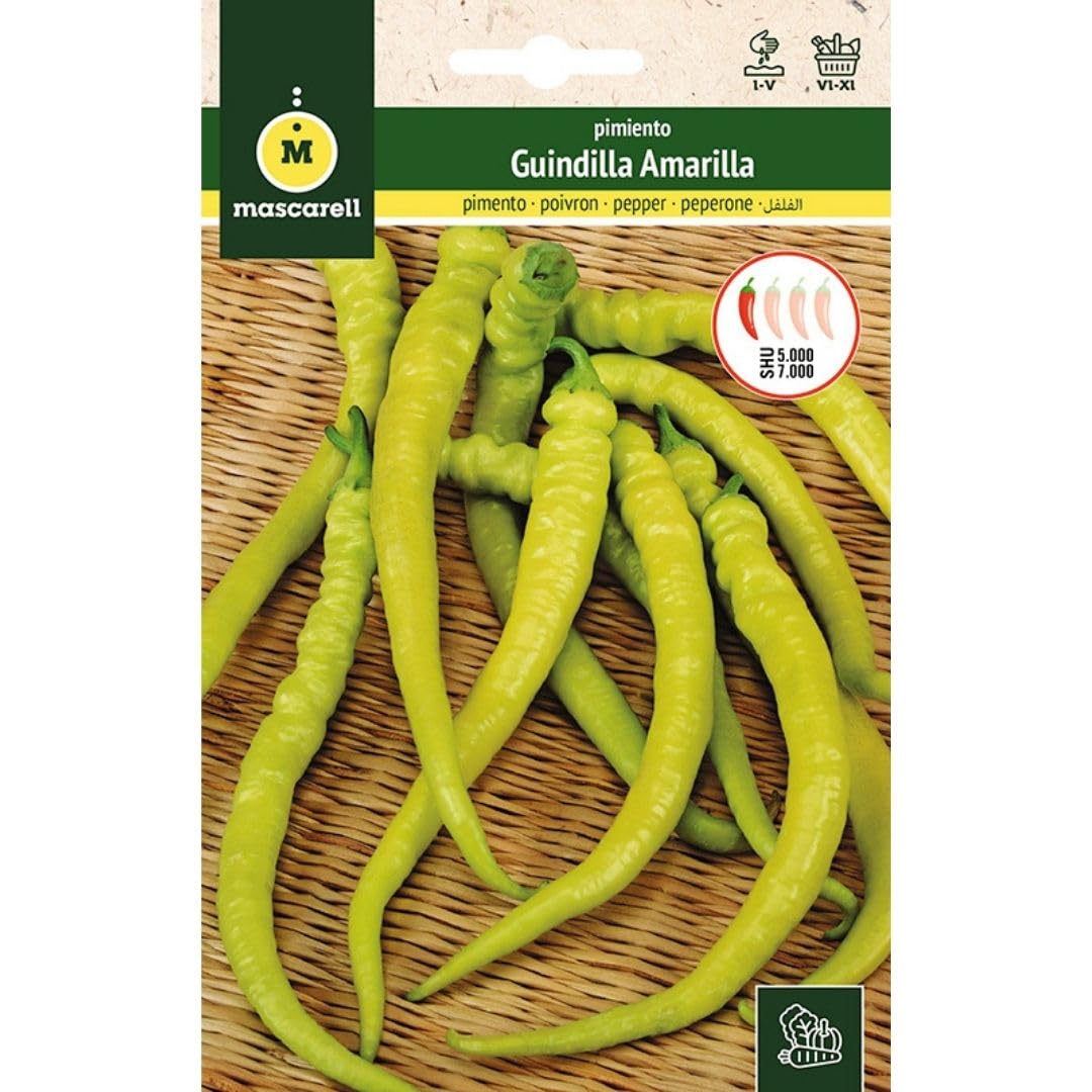 Mascarell Semillas, Pimiento Guindilla Amarilla, Semillas de Pimiento Guindilla Amarilla Variedad Picante, Semillas para Huerto Urbano, Ideal para Encurtidos y Salsas, 1g