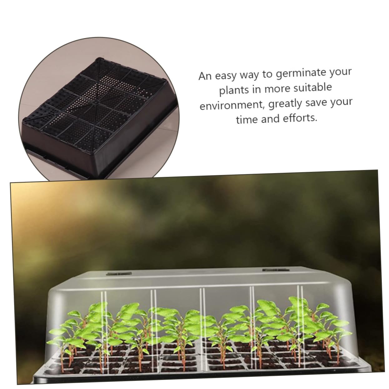 Plateau de Germination pour Semis, Lot de 1 Set, Plastique , avec Couvercle