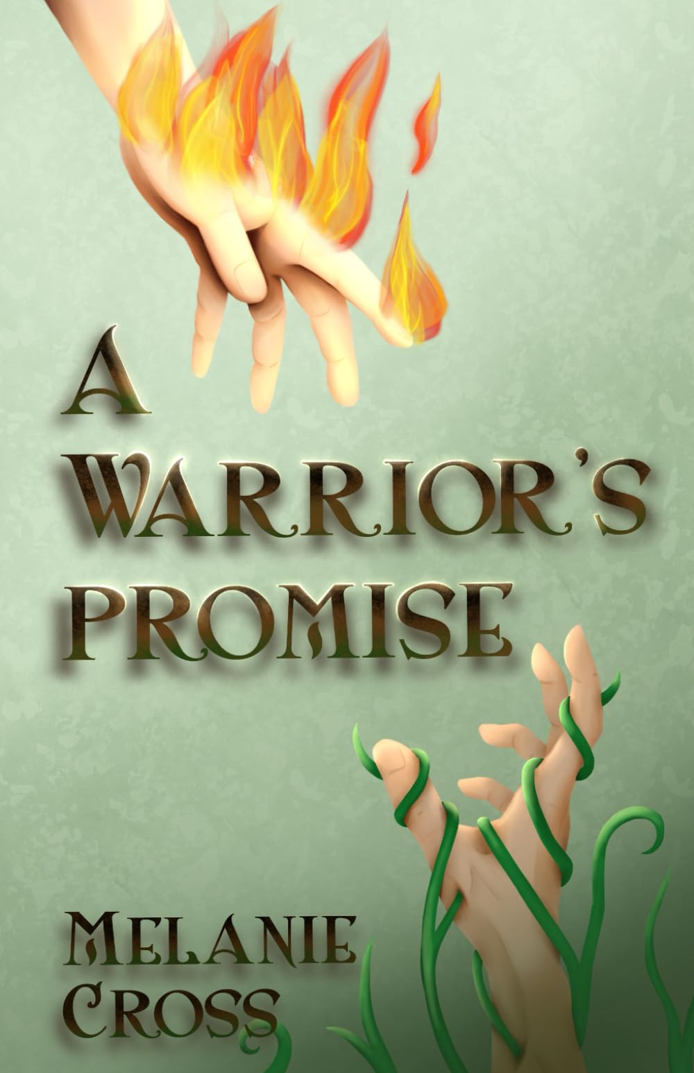 A Warrior's Promise