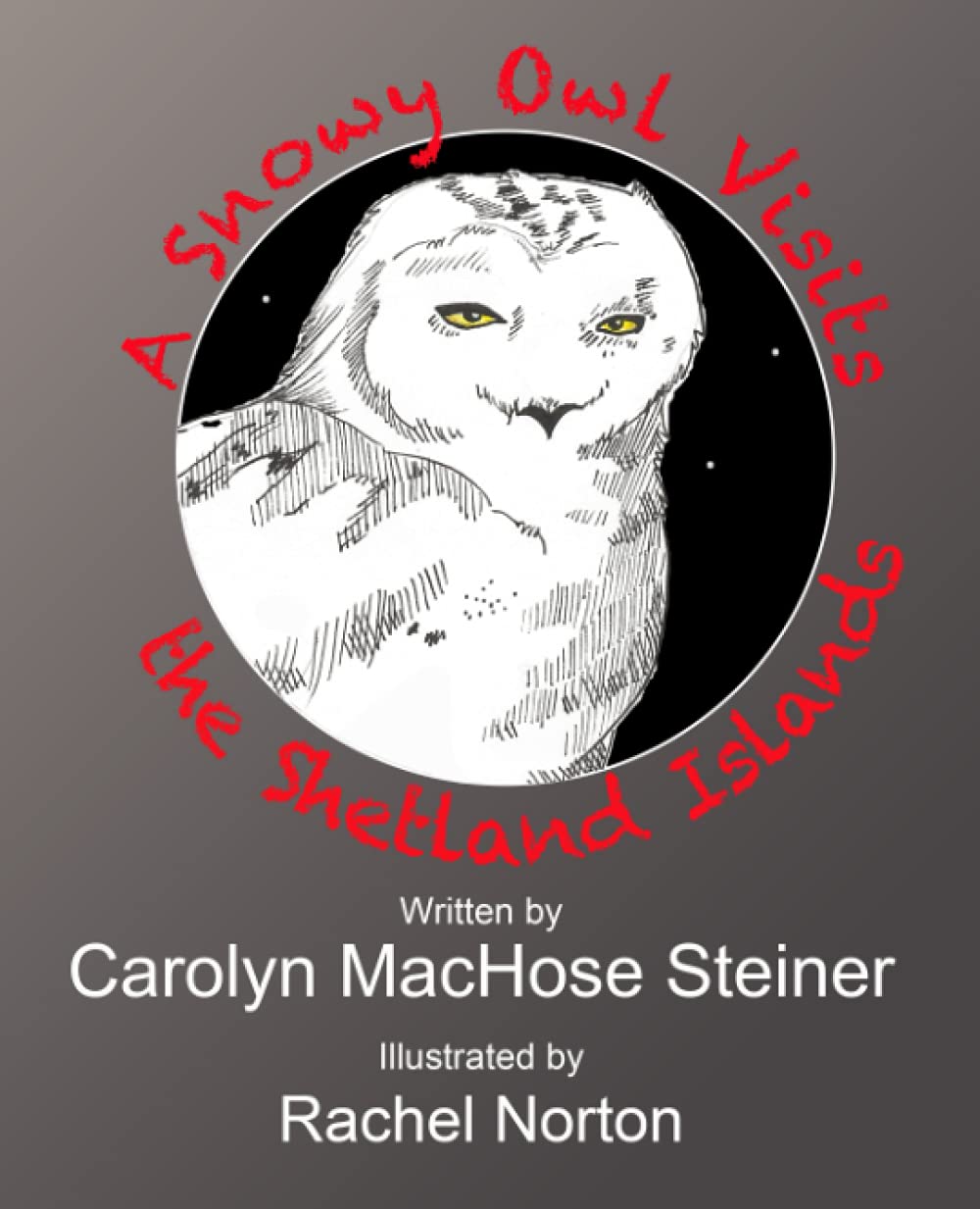 A Snowy Owl Visits the Shetland Islands